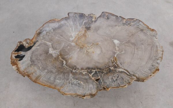 Coffee table petrified wood 57267