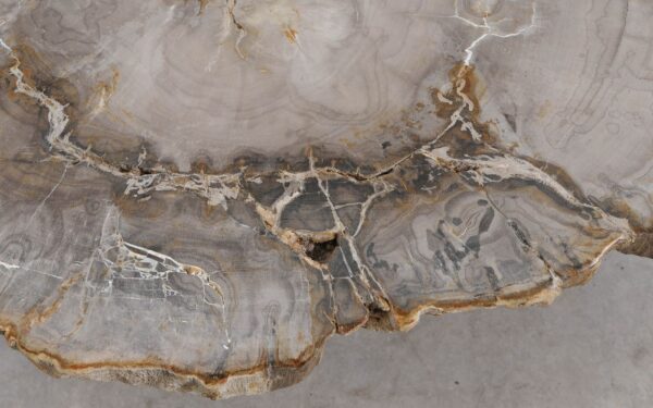 Coffee table petrified wood 57267