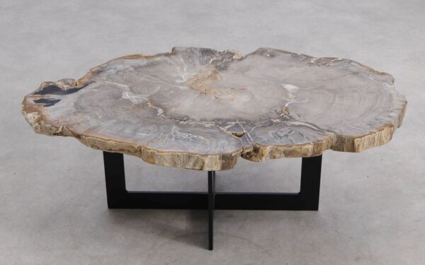 Coffee table petrified wood 57267