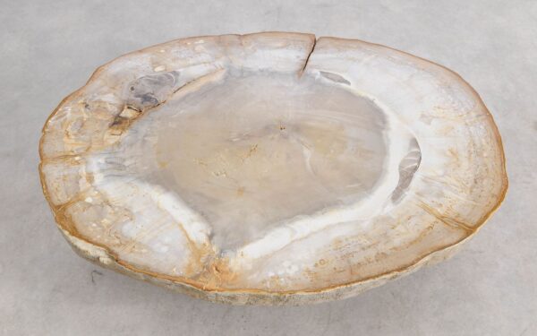 Coffee table petrified wood 57268