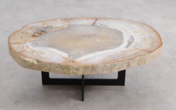 Coffee table petrified wood 57268