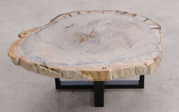 Coffee table petrified wood 57271