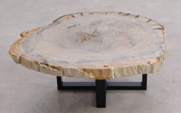 Coffee table petrified wood 57271