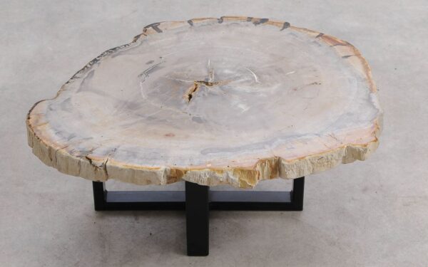 Coffee table petrified wood 57272