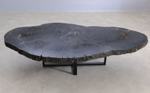 Coffee table petrified wood 57274