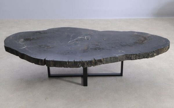 Coffee table petrified wood 57274