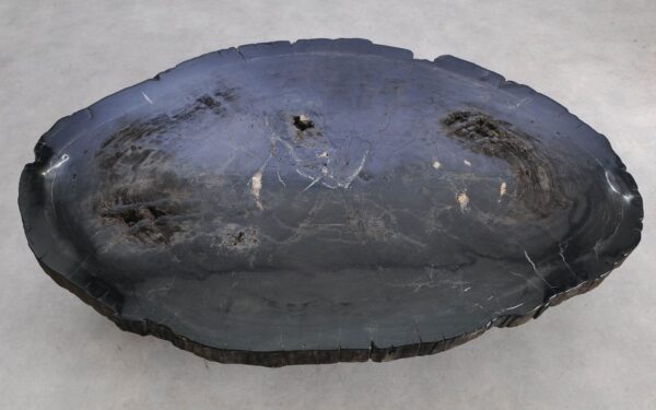 Coffee table petrified wood 57275