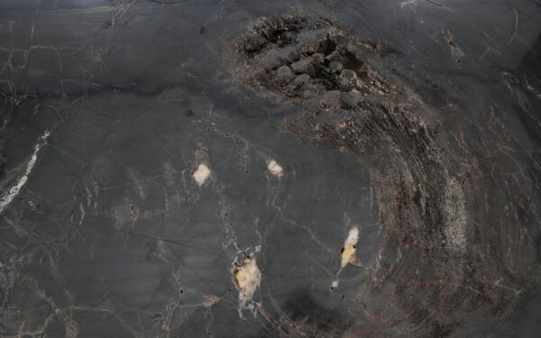 Coffee table petrified wood 57275