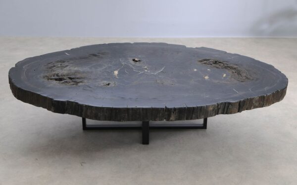 Coffee table petrified wood 57275