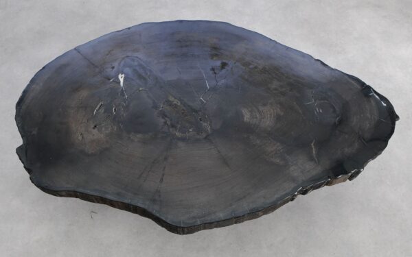 Coffee table petrified wood 57280a