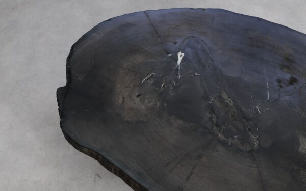 Coffee table petrified wood 57280a