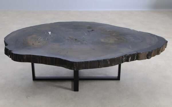 Coffee table petrified wood 57280a