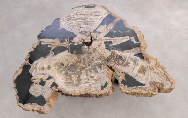 Coffee table petrified wood 58254