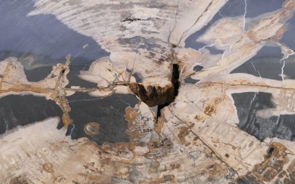 Coffee table petrified wood 58254