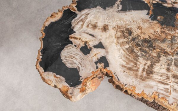 Coffee table petrified wood 58254