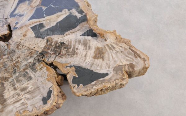 Coffee table petrified wood 58254