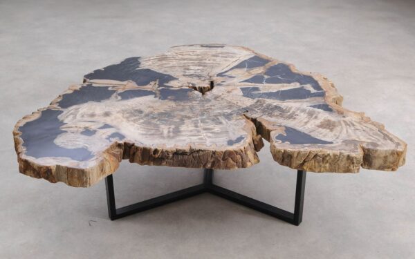 Coffee table petrified wood 58254