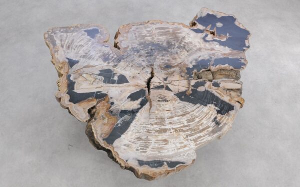 Coffee table petrified wood 58255