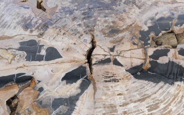 Coffee table petrified wood 58255