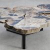 Coffee table petrified wood 58255