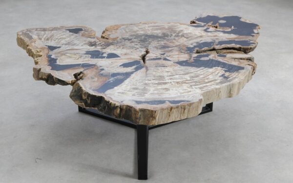 Coffee table petrified wood 58255