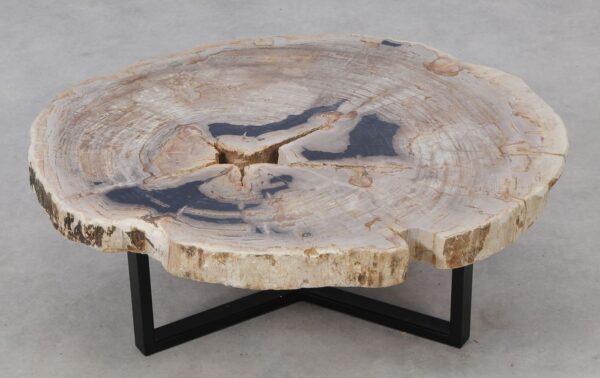 Couchtisch versteinertes Holz 52198