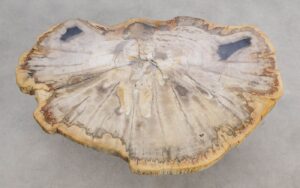 Couchtisch versteinertes Holz 56281