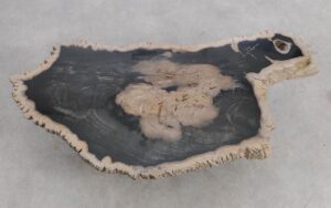 Couchtisch versteinertes Holz 56283