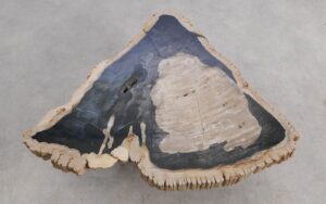 Couchtisch versteinertes Holz 56286