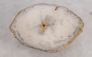 Couchtisch versteinertes Holz 57219