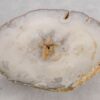 Couchtisch versteinertes Holz 57253