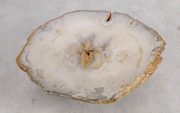 Couchtisch versteinertes Holz 57253