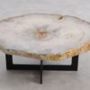 Couchtisch versteinertes Holz 57253