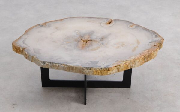 Couchtisch versteinertes Holz 57253