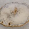 Couchtisch versteinertes Holz 57254