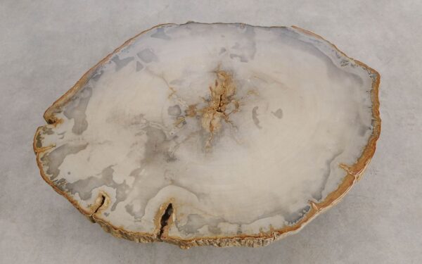 Couchtisch versteinertes Holz 57254