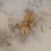 Couchtisch versteinertes Holz 57254