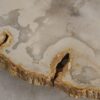 Couchtisch versteinertes Holz 57254