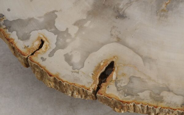 Couchtisch versteinertes Holz 57254