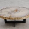 Couchtisch versteinertes Holz 57254