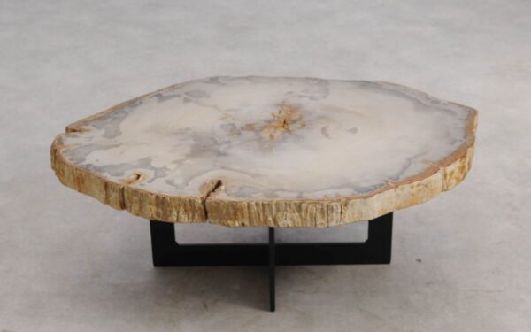 Couchtisch versteinertes Holz 57254