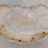 Couchtisch versteinertes Holz 57255