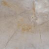 Couchtisch versteinertes Holz 57255