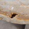 Couchtisch versteinertes Holz 57255