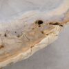 Couchtisch versteinertes Holz 57255