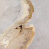 Couchtisch versteinertes Holz 57256