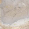 Couchtisch versteinertes Holz 57256