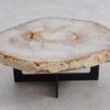 Couchtisch versteinertes Holz 57257