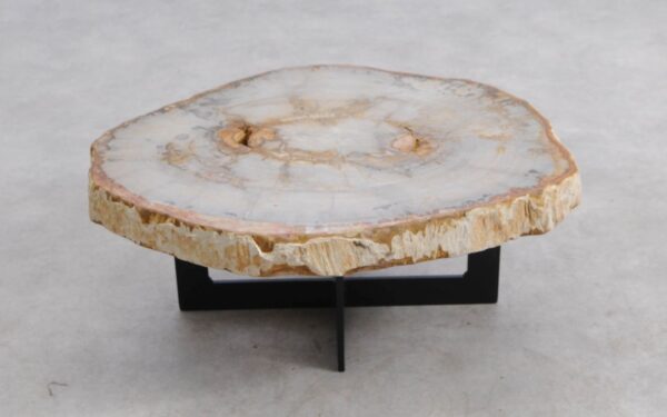 Couchtisch versteinertes Holz 57257