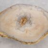 Couchtisch versteinertes Holz 57260